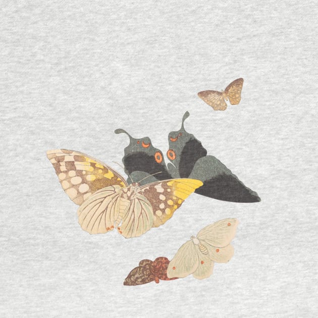 Moths and butterflies 19th century Japan by ArianJacobs